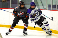 2025-2026 Wingers Boys Hockey