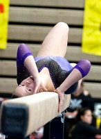 2019 Section 1A Gymnastics Meet