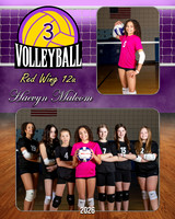 3 Haevyn Malcom
