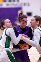 vs. Faribault, Sectional Playoff, Game 1